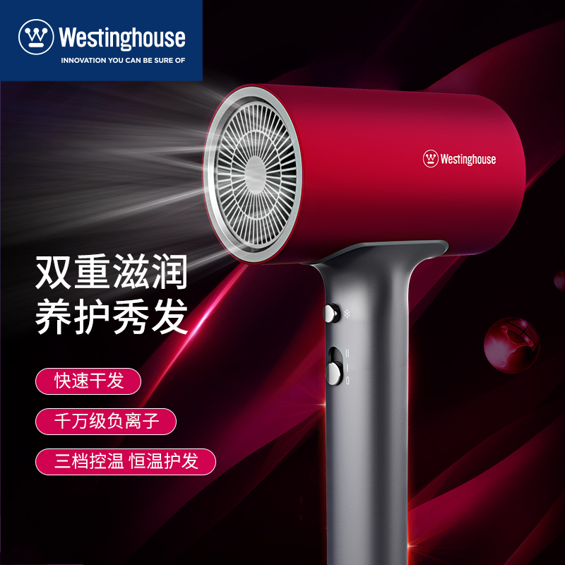WL-CF1601 电吹风