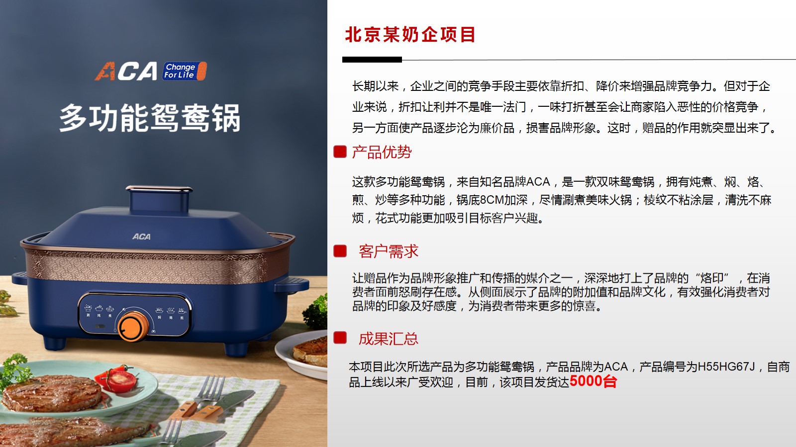 项目案例介绍PPT.jpg